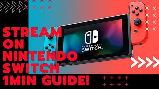 How To Set a PASSWORD on Nintendo Switch [upl. by Danna]