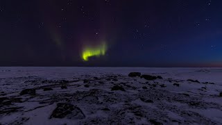 Inuktut language added to Microsoft Translator [upl. by Htedirem]