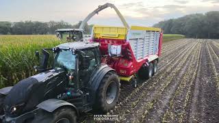 Mais Silage 2023  Loonbedrijf Westerveld  Onno Bruins bosbouw amp agro  SvenDL650 [upl. by Ahl]