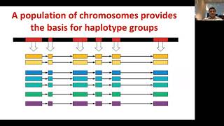 6112018 GOBiiWebinarPracticalHaplotypeGraphDr Ramu Punna [upl. by Weider]