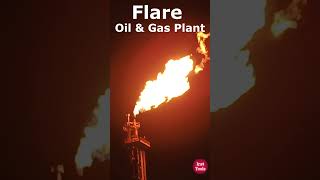 Flare in Oil amp Gas Industry [upl. by Nuli]