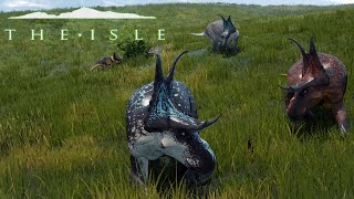 Dibble Dabble Diablo  The Isle Legacy Life Cycles Diabloceratops Survival Isla Nycta [upl. by Rexana]