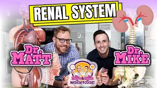 Renal System  Overview [upl. by Laen]