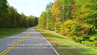 NATCHEZ TRACE PARKWAY JOG amp BIKE RIDE [upl. by Behlau540]