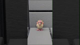 POKEMON PIDGEOTTO Pokemon Pidgeotto Action Figure [upl. by Roane]