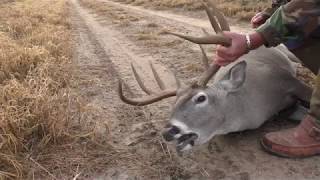 Whitetail Buck Survives 7mm mag Round To The NECK [upl. by Granese545]