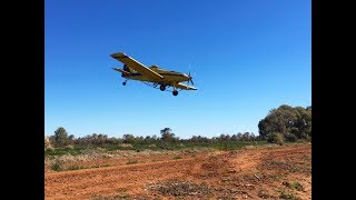 Aerial Application on Wheat by Kidman Aviation [upl. by Raina]