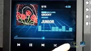 TIZEN IVI  DLNA Media Player Demo [upl. by Innavoj]