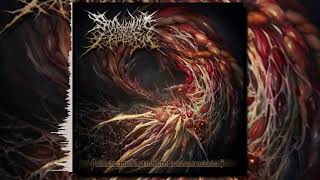 Sparganum Proliferum  Parasitic Mutated Infecting Of Human Beings Full Album [upl. by Mccord]