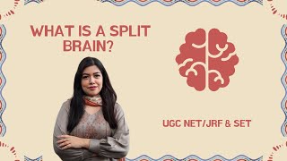 WHAT IS SPLIT BRAIN  BRAIN  BIOLOGICAL BASIS  NETGATEUPSCCUETMPHIL PSYCHOLOGY [upl. by Esej152]