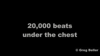 20000 beats under the chest  Blurred Edges  Stephan Krause Ariane Stamatescu Greg Beller [upl. by Rovaert]