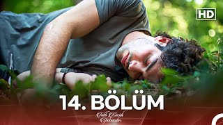 Tatlı Küçük Yalancılar 14 Bölüm FULL HD [upl. by Melita]