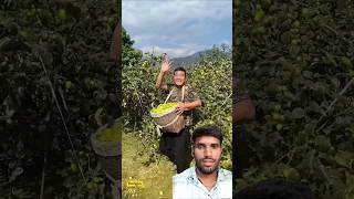 कौन सा फल है 😳 llshort ytshort trending fruit fect story [upl. by Ransome]