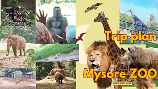 Explore the HIDDEN Wonders of MYSORE ZOO  mysore zoo  மைசூர் விலங்கியல் பூங்கா  one day trip [upl. by Lull597]