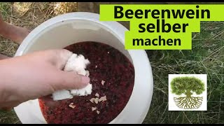 Wein aus Beeren und Obst herstellen  Wein selber machen [upl. by Eveleen]