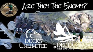 Ducks Unlimited amp Delta Waterfowl What Every Hunter Should Know About Their Impact [upl. by Ignacia]