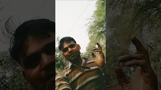 Phool aur Kante Ajay Devgan YouTube short video [upl. by Madelle]