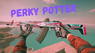 Perky Potter🧪 A Rainbow Six Siege Montage [upl. by Gavan]