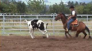 Jan Zweers  Cowhorse Training [upl. by Pain]