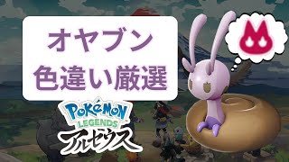 【ポケモンレジェンズアルセウス】 色違いオヤブンヒスイヌメイルを厳選していく配信！！【雑談枠】 [upl. by Rollo444]