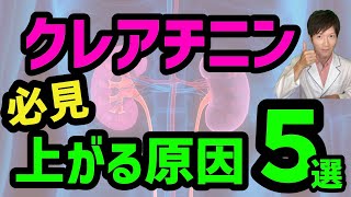 【必見】クレアチニンが上あがる原因５選！【腎臓内科専門医が監修】腎臓さらに慢性腎臓病について症状、検査、治療についてもわかりやすく解説！ [upl. by Rebecka]