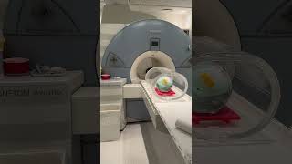 🧲 Siemens Magnetom Avanto A TIM System 15T MRI Coldhead Sound 🔊 [upl. by Trilby]