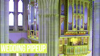 PIPEUP 7 WEDDING  Toccata from Symphony No 5 [upl. by Anauqaj]