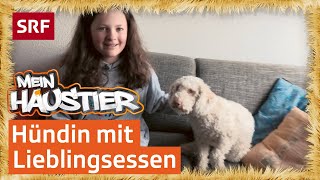 Laras Hündin mag Fleisch mit Haferflocken  Mein Haustier  SRF Kids – Kindervideos [upl. by Babbette]