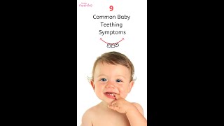 9 Common Baby Teething Signs amp Symptoms  Baby Teething Symptoms  Baby Teething Signs [upl. by Wise]