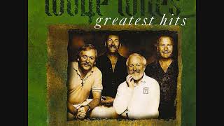 The Wolfe Tones  Greatest Hits  Full Album  Irish Rebel Music [upl. by Radek]