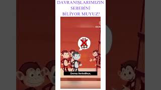 MAYMUN DAVRANIŞ DENEYİ gizilöğrenme davranış bilinçaltı sorgulama [upl. by Oiramal]