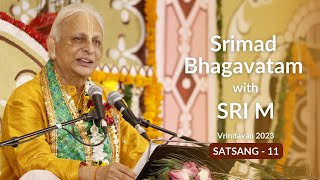 Srimad Bhagavatam  Satsang 11  Sri M  English  Vrindavan 2023 [upl. by Beret]