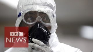 Is Ebola virus a global emergency BBC News [upl. by Nichol]