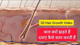 हमारा लीवर कैसे काम करता है  How does our Liver work  3D Animation 🔥🔥🔥 [upl. by Dasha]