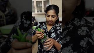 Kitchen duties food lunchbox home mynameismiya dailyvlog lifestylechannel kerala [upl. by Erdnaed744]