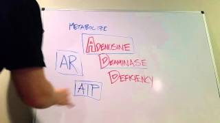 Adenosine Deaminase Deficiency Type of SCID [upl. by Almeida514]