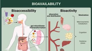 Biopharmaceutics and pharmacokinetics Bioavailability lec7 [upl. by Asiar954]