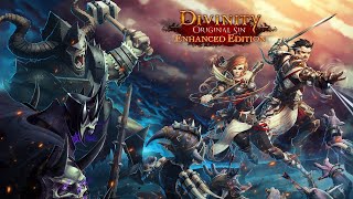 Divinity Original Sin Enhanced Edition  A classic still worth playing today [upl. by Ayotna669]