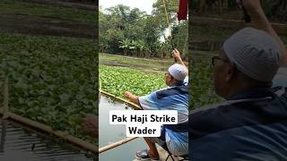 Mancing di Situ Mata Air Pak Haji Strike ikan Wader Mantap  ikan fishing wader mancing [upl. by Orecul]