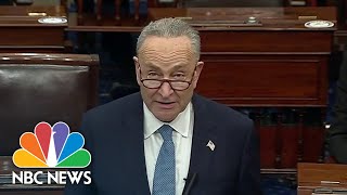 Chuck Schumer ‘Congress Does Not Determine The Outcome Of Elections The People Do’  NBC News [upl. by Laundes]