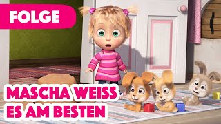 Der wahre Schatz 💰🤩 Shorts MaschaBär mashabear shortsfeed fürkinder mascha neuefolge [upl. by Adialeda]