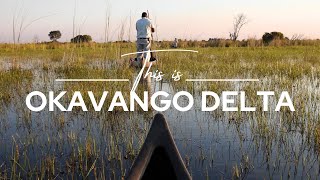 Okavango Delta Botswana  Safari365 [upl. by Omolhs]