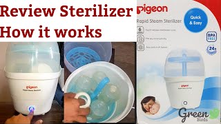 Review Pigeon Rapid Steam Sterilizer I How To Sterilize Baby Bottles [upl. by Vas57]