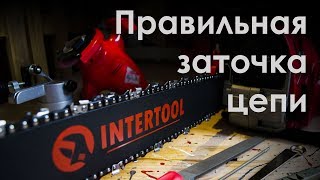 Станок для заточки цепей INTERTOOL DT0850  правильная заточка цепи [upl. by Sikata]