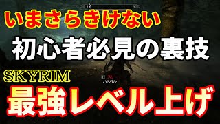 【スカイリム】いまさら聞けない初心者必見の最強レベル上げの裏技公開！【SKYRIM】 [upl. by Cosette783]