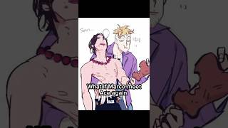 Marco meets Ace again onepiece anime sanji zoro luffy [upl. by Anibor]