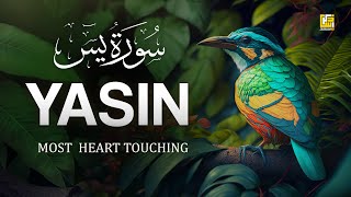 Worlds most beautiful Quran recitation of Surah Yasin Yaseen سورة يس  Zikrullah TV [upl. by Ytsirk]