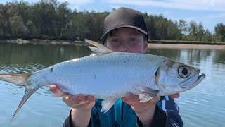 Fishing the pine river for 2 days in my boat with soft plastics PB Tarpon [upl. by Ewell3]