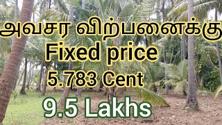 Project Number  570 Coconut Farm For Sale Eranial  kandanvilai manakarai [upl. by Chud]