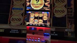 Spring Festival 5 Max Bet on 1c  Big Pokie Wins Australia 2023 [upl. by Bridgette]